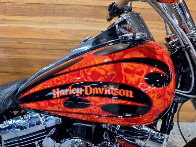 2010 HARLEY-DAVIDSON FLSTF FAT BOY