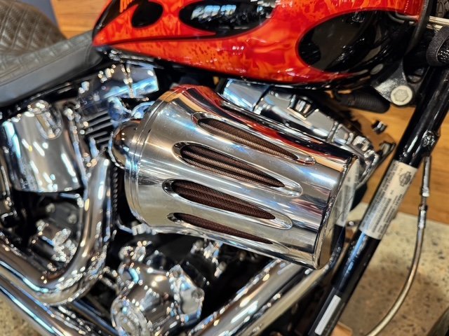 2010 HARLEY-DAVIDSON FLSTF FAT BOY