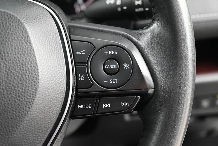 2022 Toyota RAV4 Cruiser