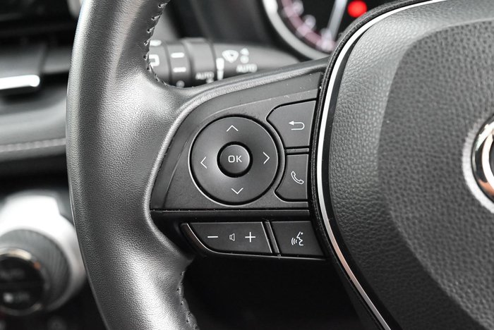 2022 Toyota RAV4 Cruiser