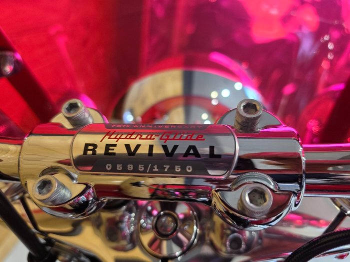 2024 HARLEY-DAVIDSON FLI HYDRA GLIDE REVIVAL (114)