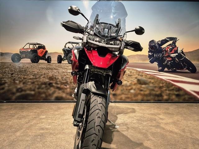 2024 Triumph Tiger 1200 GT Pro