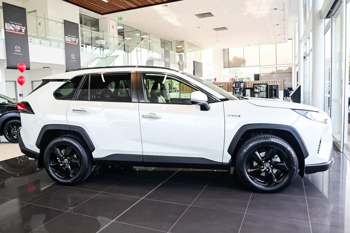2020 Toyota RAV4 Cruiser