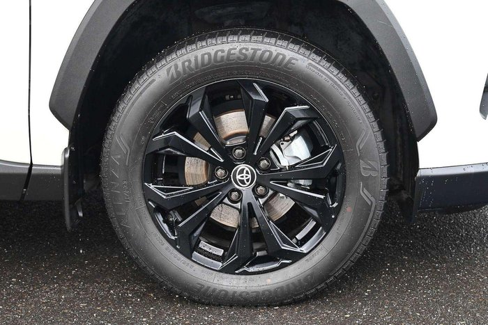 2022 Toyota RAV4 Cruiser
