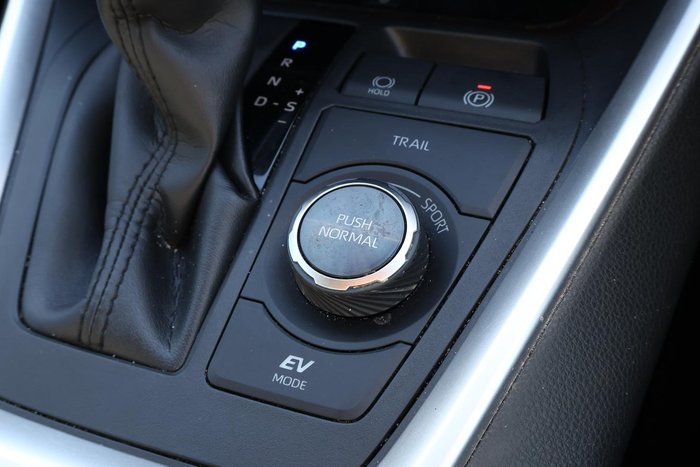 2020 Toyota RAV4 Cruiser