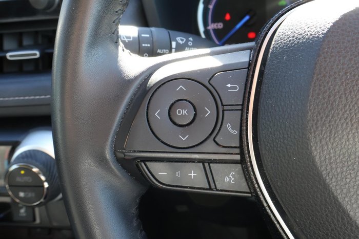 2020 Toyota RAV4 Cruiser