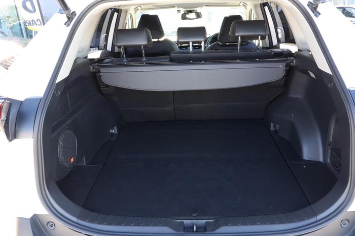 2020 Toyota RAV4 Cruiser