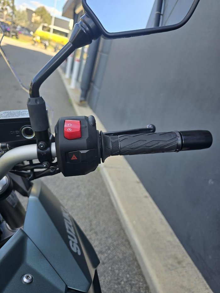 2024 Suzuki V-Strom 800 V-Strom Green