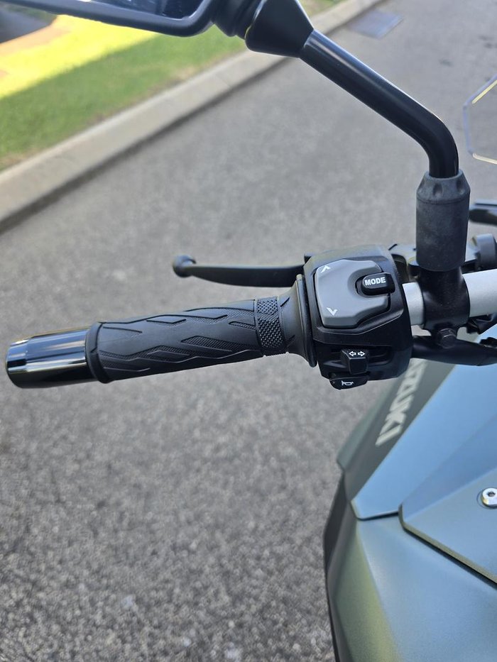 2024 Suzuki V-Strom 800 V-Strom Green