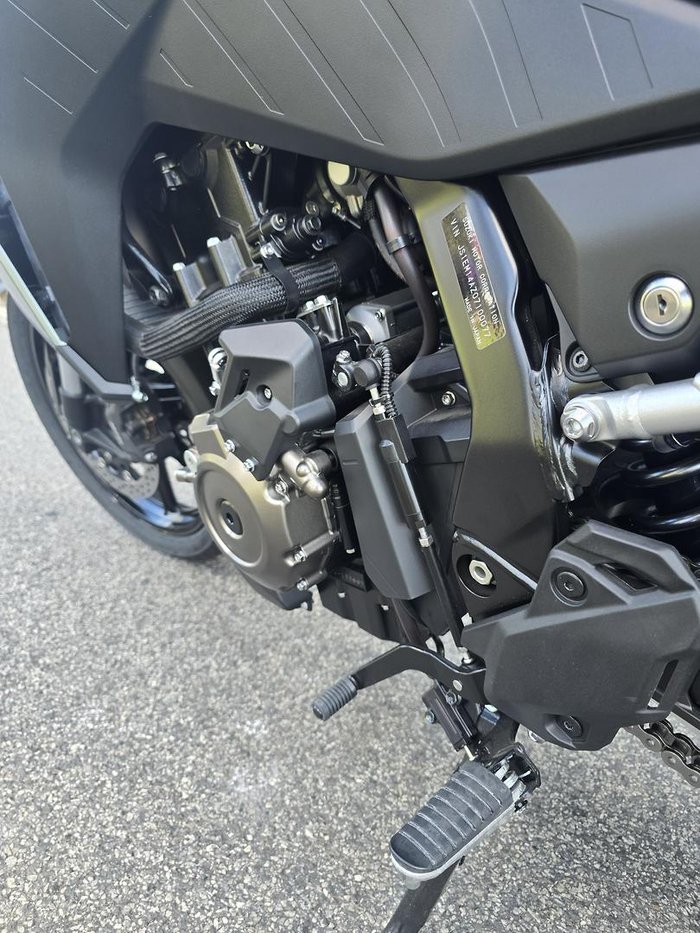 2024 Suzuki V-Strom 800 V-Strom Green