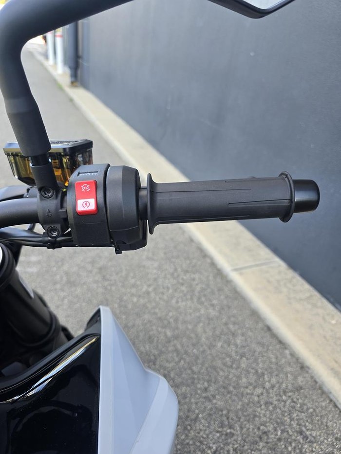 2024 KTM 790 Duke Duke Grey