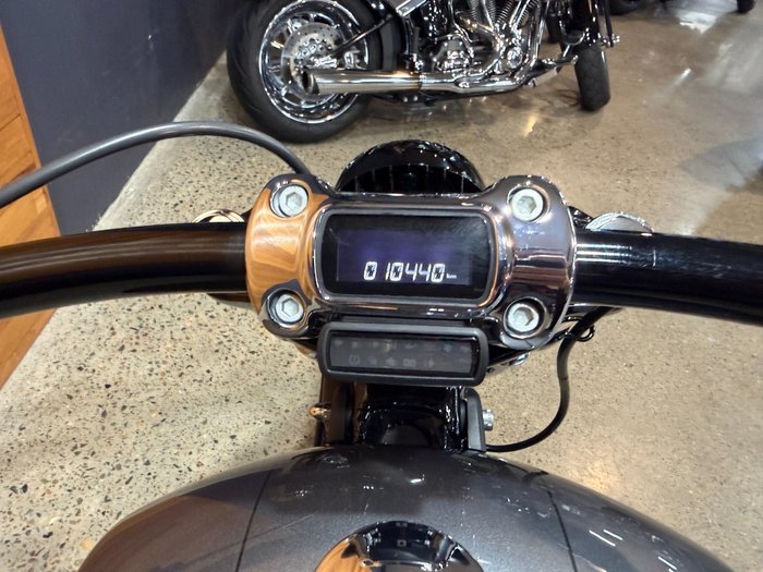 2022 HARLEY-DAVIDSON FXBRS BREAKOUT (114)