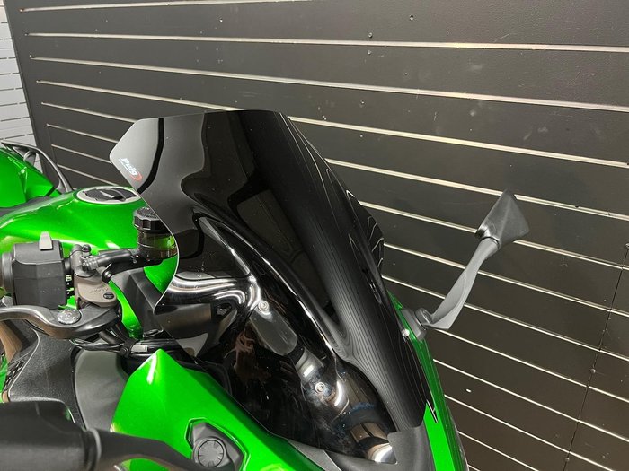 2020 Kawasaki NINJA 1000SX Green