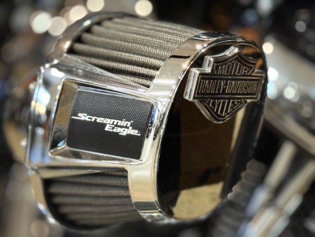 2021 HARLEY-DAVIDSON FLFBS FAT BOY S (114)