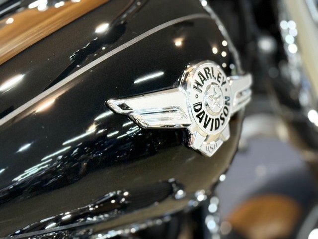 2021 HARLEY-DAVIDSON FLFBS FAT BOY S (114)