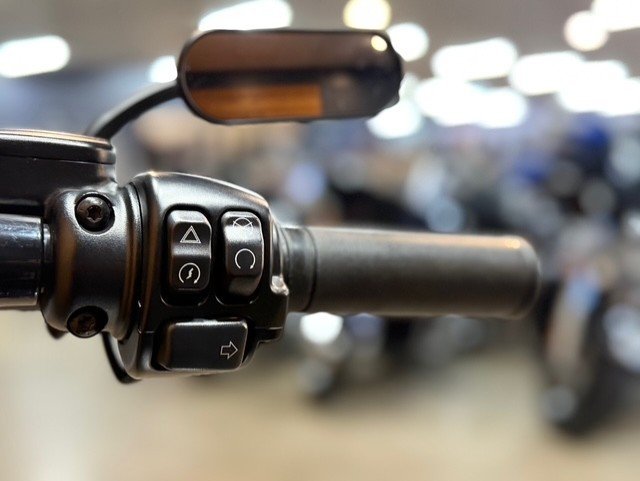 2019 HARLEY-DAVIDSON FXBRS BREAKOUT (114)