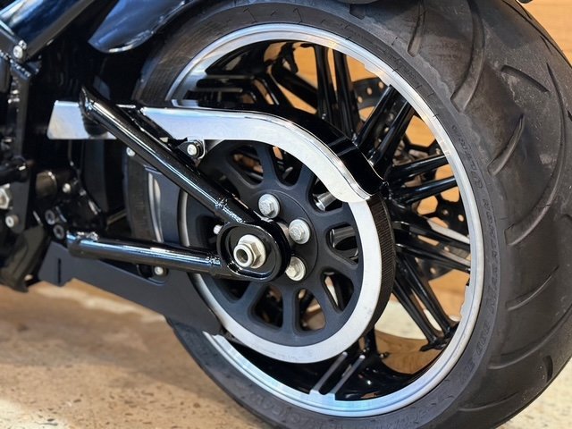 2019 HARLEY-DAVIDSON FXBRS BREAKOUT (114)