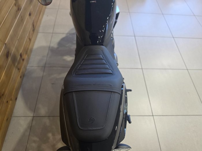 2024 HARLEY-DAVIDSON HD350-10 H-DX X350