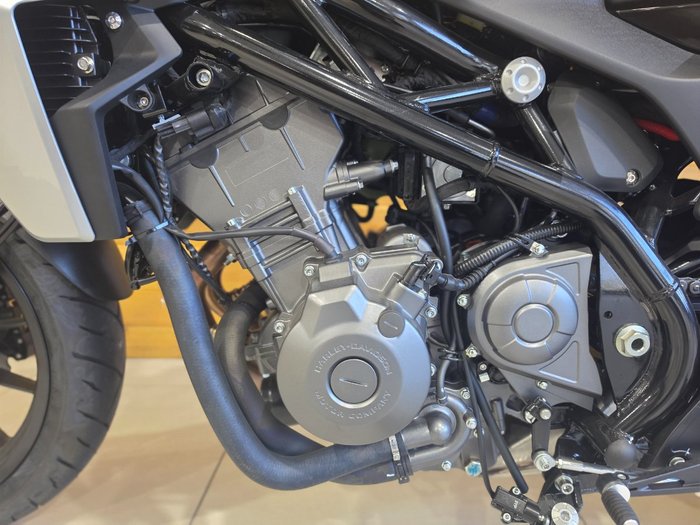 2024 HARLEY-DAVIDSON HD350-10 H-DX X350