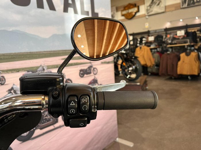 2022 HARLEY-DAVIDSON FLSB SPORT GLIDE (107)