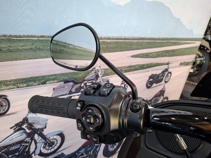 2025 HARLEY-DAVIDSON FLTRX ROAD GLIDE (117)