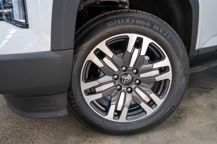 2025 LDV Terron 9 Evolve