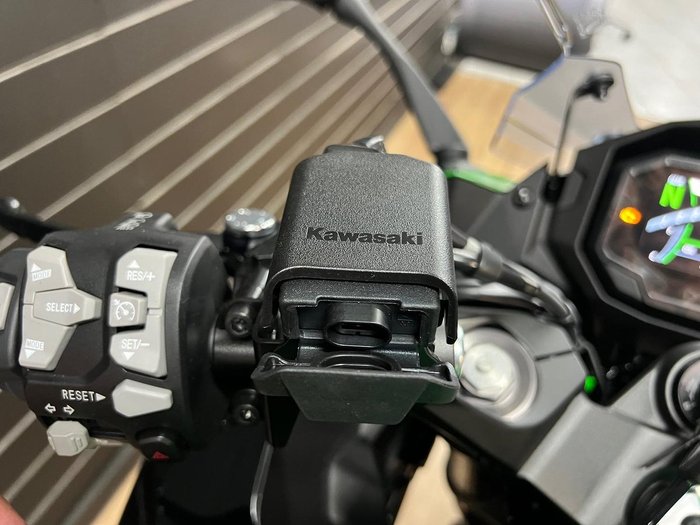 2026 Kawasaki NINJA 1100SX SE Green