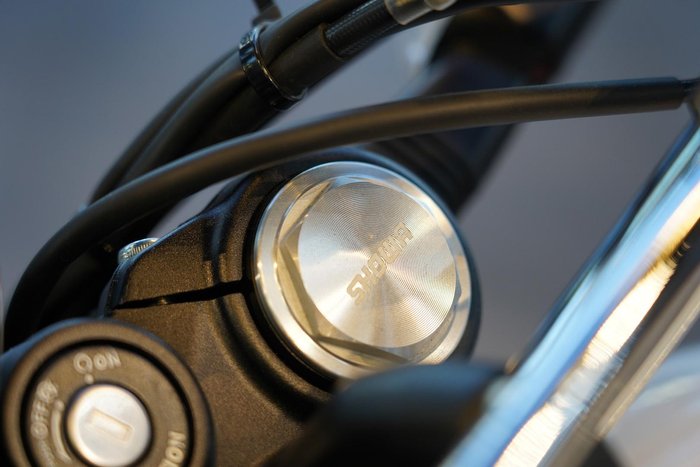 2025 Royal Enfield Bear 650