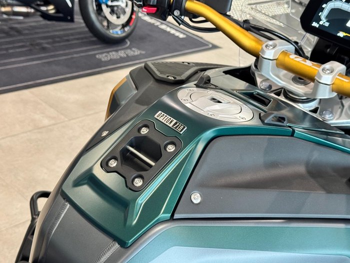2025 BMW Motorrad R 1300 GS Adventure Option 719 R 1300 Green