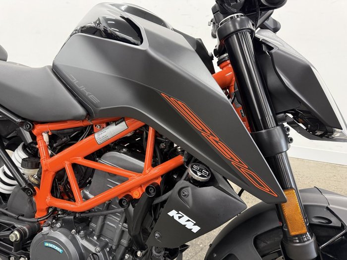 2024 Ktm 390 DUKE Grey