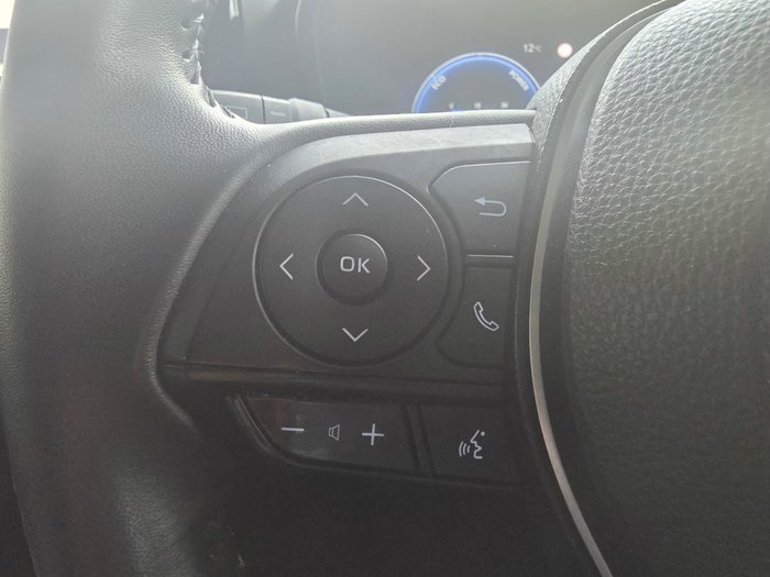 2022 Toyota RAV4 Cruiser