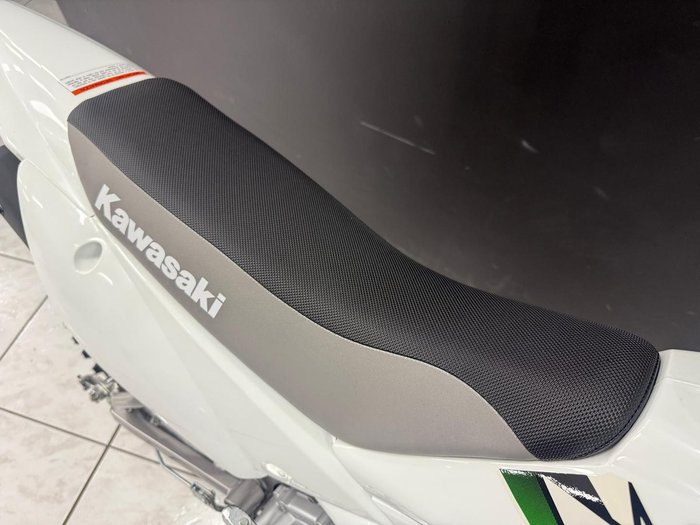 2026 Kawasaki KLX110CTFNN White