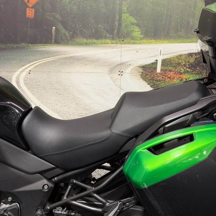 2016 Kawasaki VERSYS 1000 (KLZ1000) Green