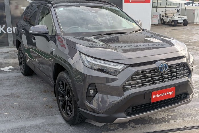 2022 Toyota RAV4 Cruiser