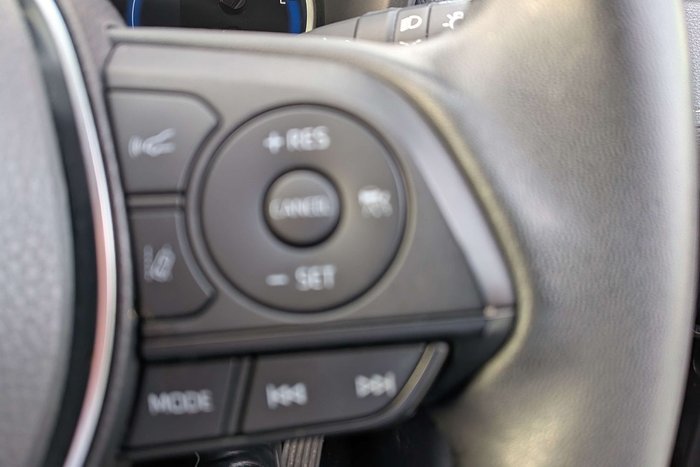2022 Toyota RAV4 Cruiser