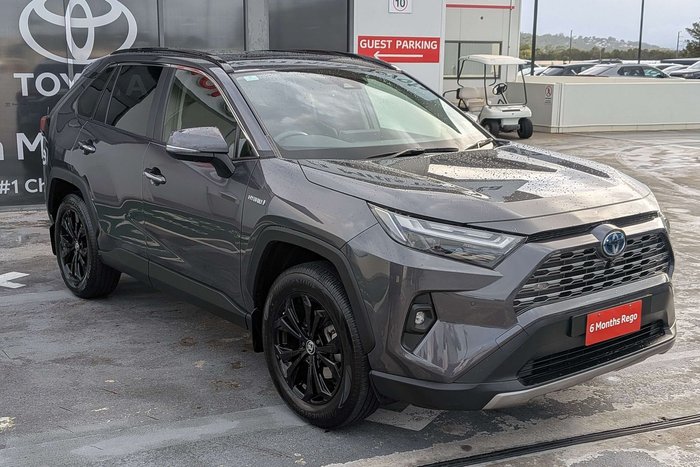 2022 Toyota RAV4 Cruiser