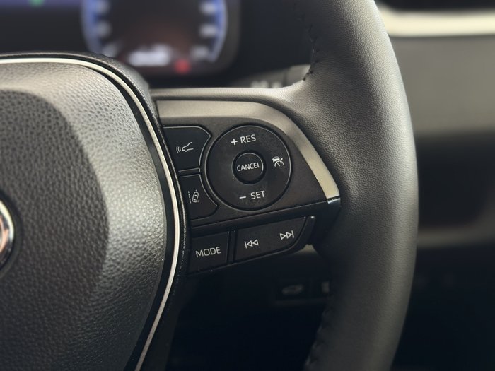 2024 Toyota RAV4 Cruiser