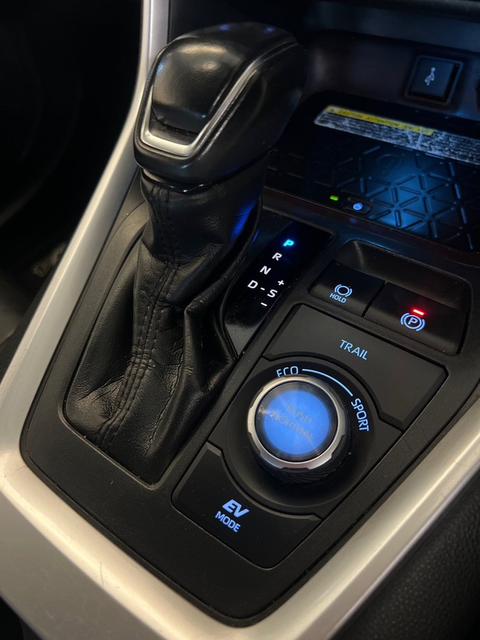2020 Toyota RAV4 Cruiser