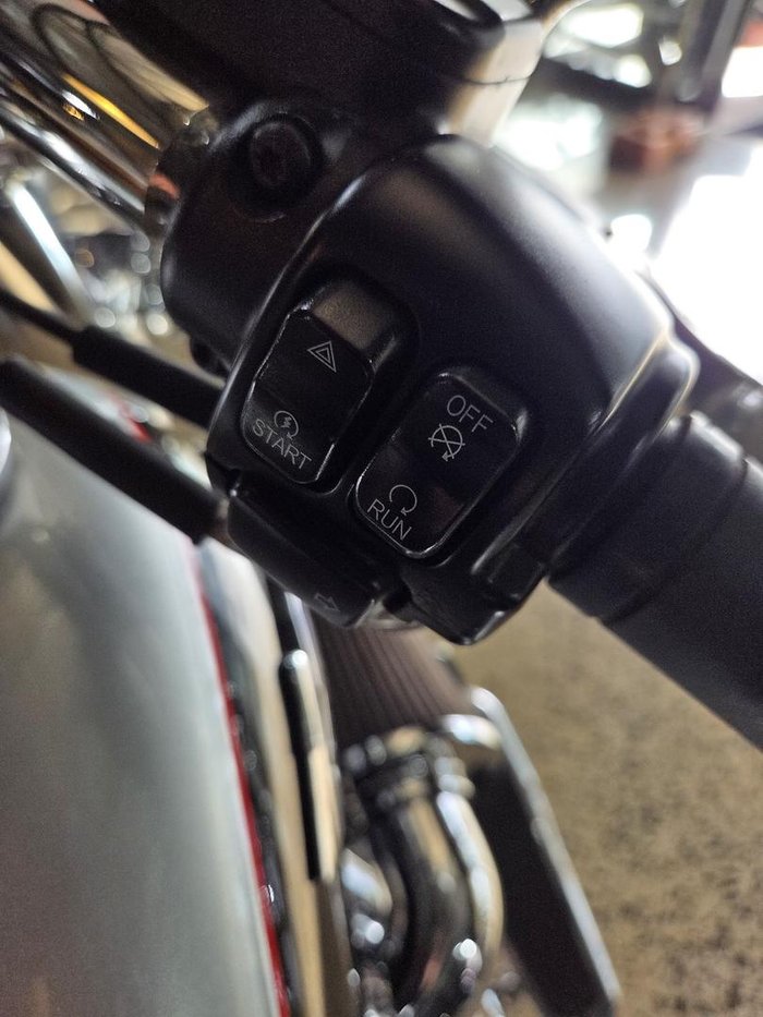 2015 Harley-Davidson Softail Deluxe 1690 (FLSTN)