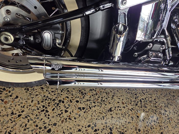2015 Harley-Davidson Softail Deluxe 1690 (FLSTN)