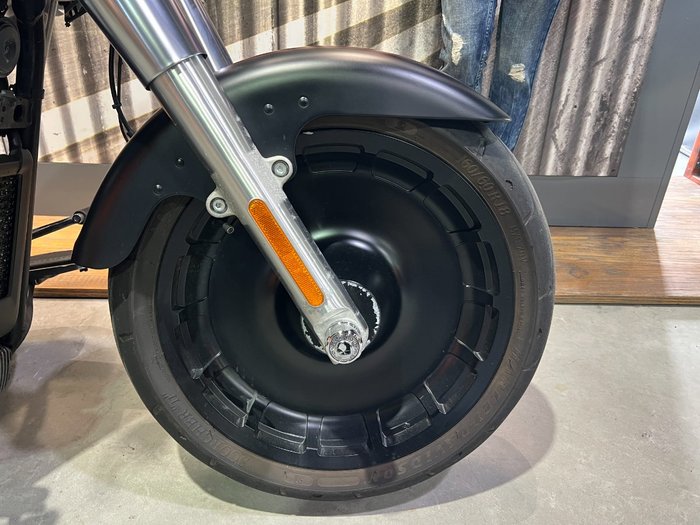 2020 HARLEY-DAVIDSON FLFBS FAT BOY (114)