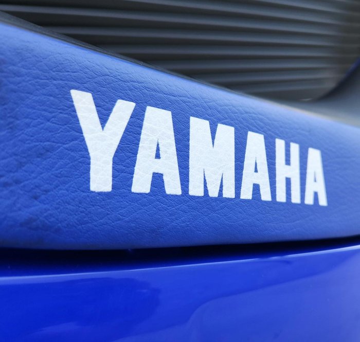 2025 Yamaha PeeWee 50 (PW50) PeeWee Blue