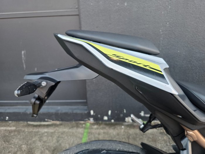 2022 BMW S 1000 R SILVER