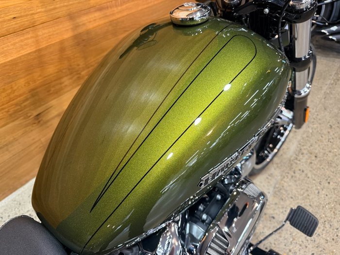 2022 HARLEY-DAVIDSON FXBRS BREAKOUT (114)