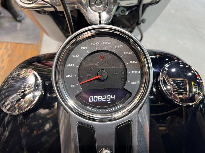 2019 HARLEY-DAVIDSON FLFBS FAT BOY (114)