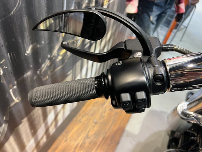 2019 HARLEY-DAVIDSON FLFBS FAT BOY (114)