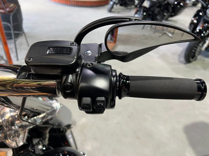 2019 HARLEY-DAVIDSON FLFBS FAT BOY (114)