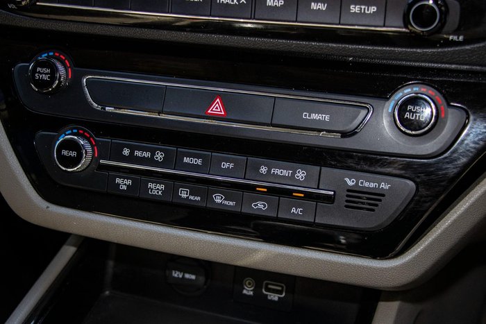 2019 Kia Carnival Platinum