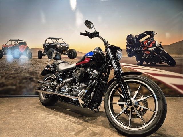 2019 Harley-Davidson Low Rider 107 (FXLR)