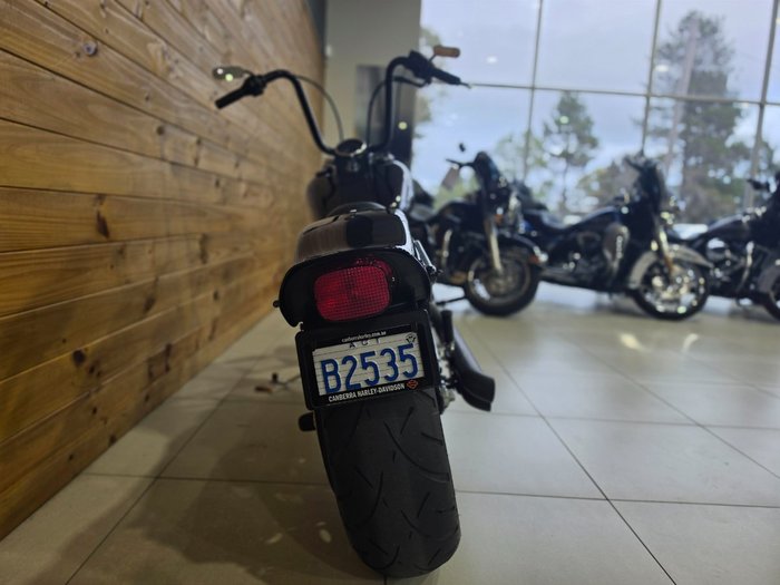 2006 HARLEY-DAVIDSON FXSTI SOFTAIL